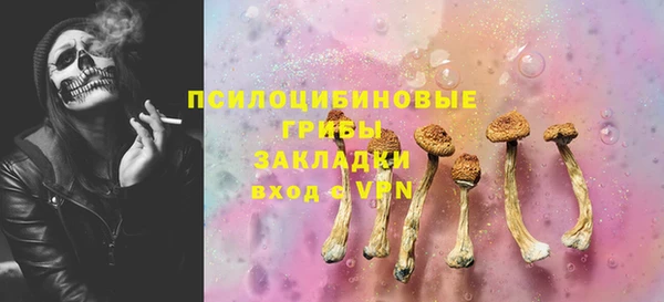 ПСИЛОЦИБИНОВЫЕ ГРИБЫ Абинск