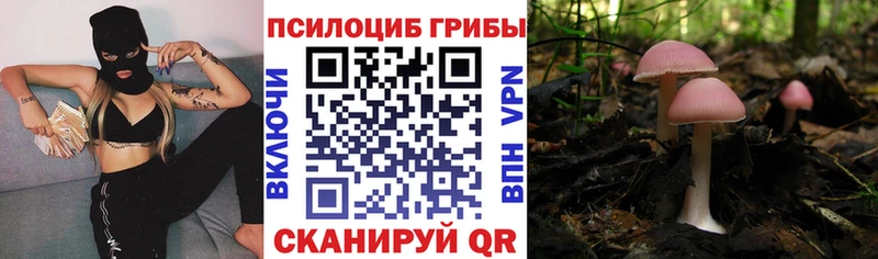 Псилоцибиновые грибы Psilocybe  купить закладку  Алапаевск 