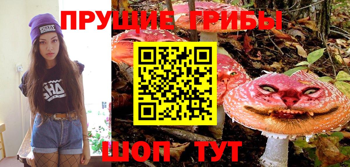 Алапаевск  Галлюциногенные грибы Psilocybine cubensis  где продают наркотики  Вход с VPN 